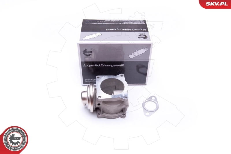 EGR Valve